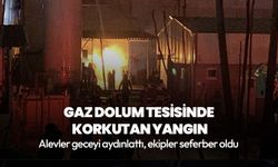 Kocaeli'nde gaz dolum tesisinde korkutan yangın