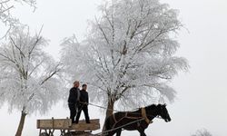 Erzincan buz kesti!