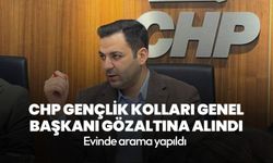 CHP Gençlik Kolları Genel Başkanı Cem Aydın gözaltına alındı