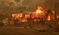 California’da yeni yangın kontrol altına alındı: 1 gözaltı