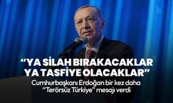 Cumhurbaşkanı Erdoğan: Suriye'deki terör kuşağını kırdık