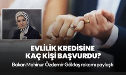 Evlilik kredisine kaç kişi başvurdu?