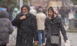 Edirne'de kar yağışı devam ediyor