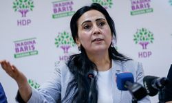 Figen Yüksekdağ'ın kardeşinden kötü haber