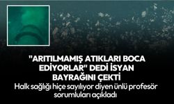 Ünlü profesör görüntüleri paylaştı! Marmara Denizi için alarm verdi