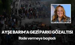 Ayşe Barım'a Gezi Parkı gözaltısı: İfade vermeye başladı