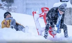 İstanbul'a lapa lapa kar geliyor! Tarih verildi