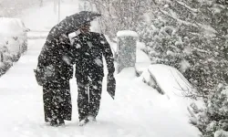 Edirne ve Kırklareli'nde kar oluyor