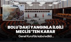 Meclis'ten Bolu'daki yangınla ilgili karar