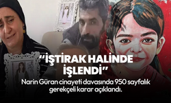 Narin davasında gerekçeli karar açıklandı