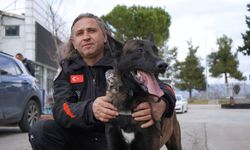 Narkotik ekiplerinin göz bebeği "Milon" üçüncü kez ayın köpeği seçildi