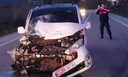 Ordu'da trafik kazası: 2 kişi öldü, 5 kişi yaralandı