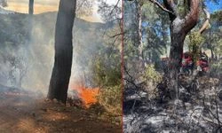 Fethiye'de orman yangını