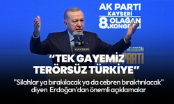 Cumhurbaşkanı Erdoğan: Silahlar ya bırakılacak ya da cebren bıraktırılacak