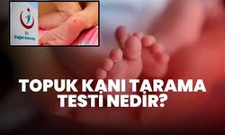 Topuk Kanı Tarama Testi Nedir?