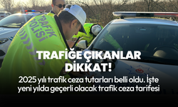 Trafiğe çıkanlar dikkat! 2025 yılının trafik cezaları belli oldu