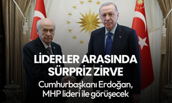 Cumhurbaşkanı Erdoğan, Bahçeli ile görüşecek