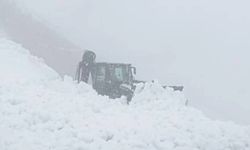 Ulaşıma kapanan yolu açmaya çalışıyordu çığ altında kaldı