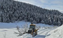 Artvin'de 68 köy yolu ulaşıma kapandı