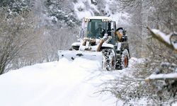 Bartın, Zonguldak ve Düzce'de kardan kapanan 186 yerleşim yerinin yolu ulaşıma açıldı