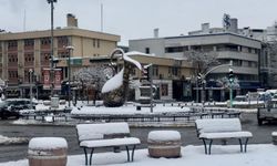 Erzincan kar yağışı sonrası beyaza büründü