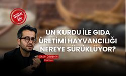 UN KURDU İLE GIDA ÜRETİMİ HAYVANCILIĞI NEREYE SÜRÜKLÜYOR?