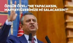 Özgür Özel: “Ne yapacaksın, mafyayı üzerimize mi salacaksın?”