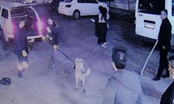 Diyarbakır’da sahipsiz köpek saldırısı: 3 kişi yaralandı