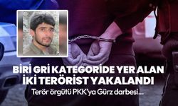 Gri kategoride yer alan PKK/KCK'lı terörist yakalandı