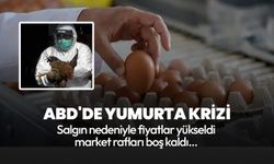 ABD'de yumurta krizi! Raflar boşaldı, bir düzine yumurta 10 dolara çıktı