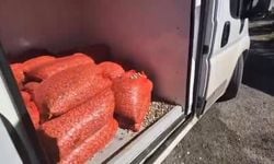 Samsun’da 1 ton  kaçak midye ele geçirildi