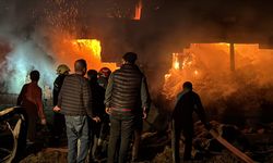 Bolu’da Elektrik Kablolarından Kaynaklanan Yangın: Ahır ve Samanlık Küle Döndü