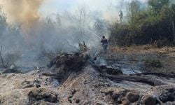 Kastabala Kuş Cenneti’nde ikinci yangın