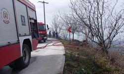 Kocaeli'de temizlik amacıyla yakılan ateş ormanı küle çevirdi