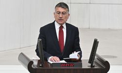 Abdullah Güler'den Cumhurbaşkanı Erdoğan ve ailesine yönelik hakaretlere tepki