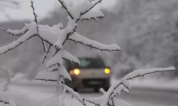 Orta Karadeniz için zirai don uyarısı