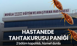 Hastanede tahtakurusu paniği: İki bölüm kapatıldı