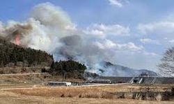 Japonya’daki Orman Yangını Dördüncü Gününde: 1.400 Hektar Alan Alevlere Yenik Düştü