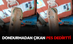 Dondurmanın içinden çıkan pes dedirtti!