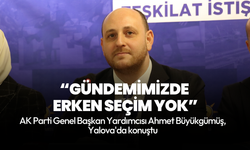 AK Parti Genel Başkan Yardımcısı Büyükgümüş: Gündemimizde erken seçim yok