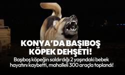 Konya'da başıboş köpeğin saldırdığı 2 yaşındaki bebek hayatını kaybetti