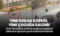 İzmir'de yine sokak köpeği, yine çocuğa saldırı