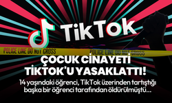 Arnavutluk hükümeti TikTok'u 1 yıllığına yasakladı