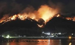 Japonya’da orman yangını: Binlerce kişi tahliye edildi!