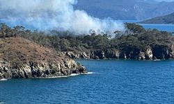 Muğla'da ormanlık alanda çıkan yangın söndürüldü