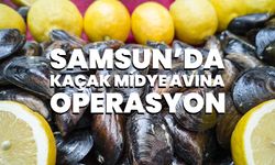 Samsun’da kaçak midye avına operasyon