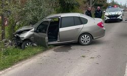 Sokak köpeklerine çarpmamak için kaza yaptı