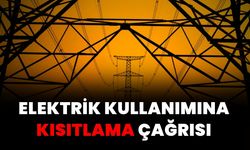 Hollanda'da Akşam Saatlerinde Elektrik Kullanımına Kısıtlama Çağrısı