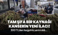 Tam şifa bir kaynağı, kanserin yeni ilacı! Işgın 300 TL'den tezgahta satışta