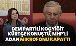 DEM Partili Koçyiğit TBMM'de Kürtçe konuştu, MHP'li Adan mikrofonu kapattı